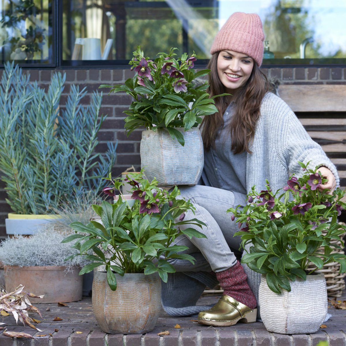 Care Tips Viv Joie De Vivre En